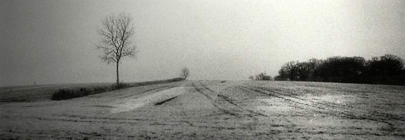 Winter Landscape 2.jpg